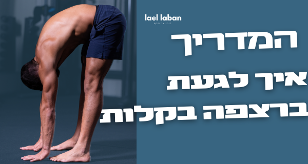 קורס גמישות